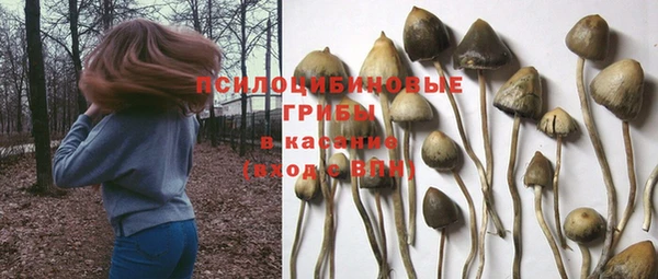 соль курить ск Осташков