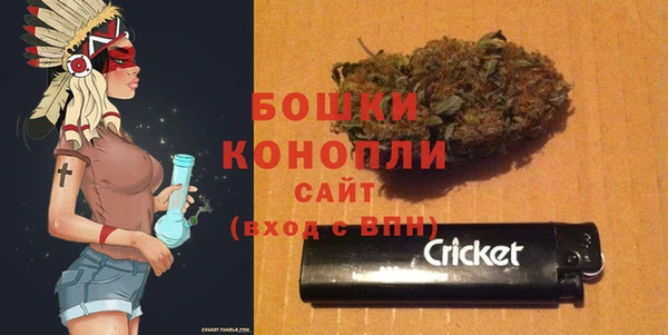 ПСИЛОЦИБИНОВЫЕ ГРИБЫ Пестово