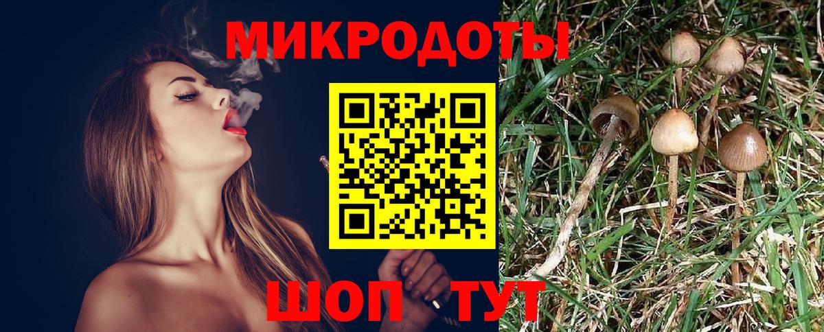 Галлюциногенные грибы GOLDEN TEACHER  Вход с VPN  Галлюциногенные грибы MAGIC MUSHROOMS  Баксан 