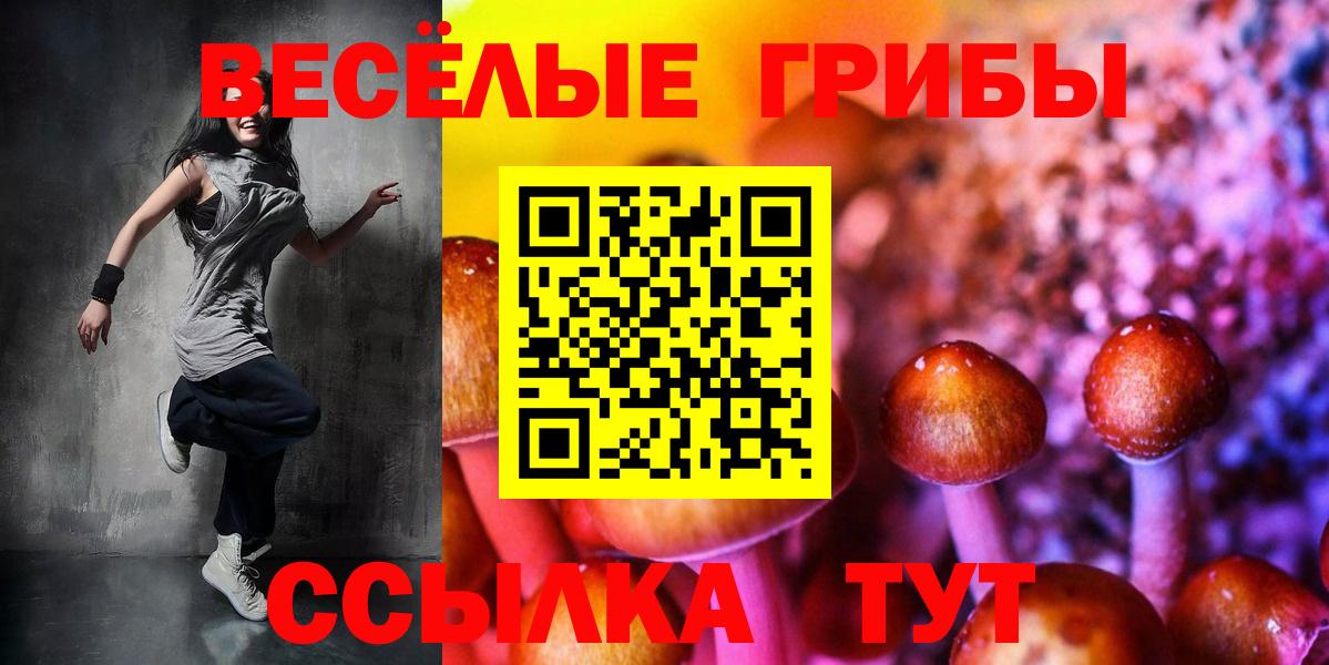 Гашиш Баксан