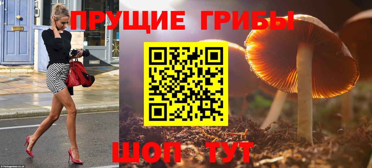 Галлюциногенные грибы Psilocybe Баксан
